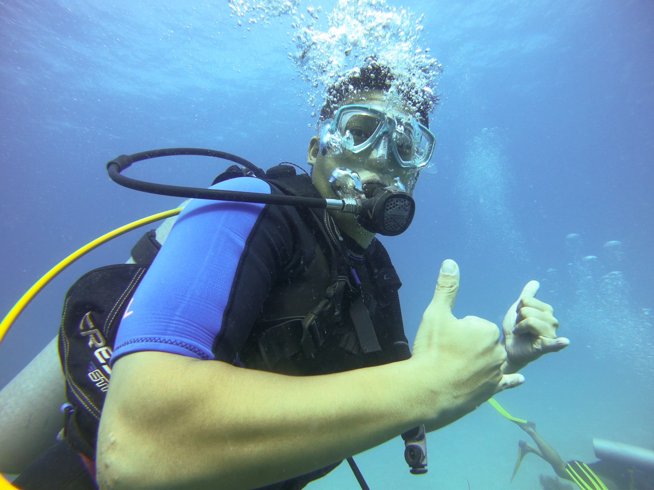 Diving in Dominican Republic